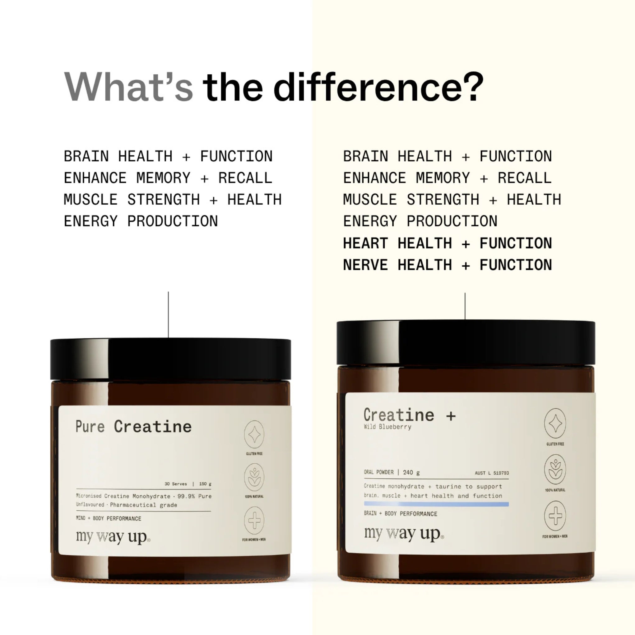 Two containers labeled 'Pure Creatine' and 'Creatine +' with text comparing brain health benefits on a white background.