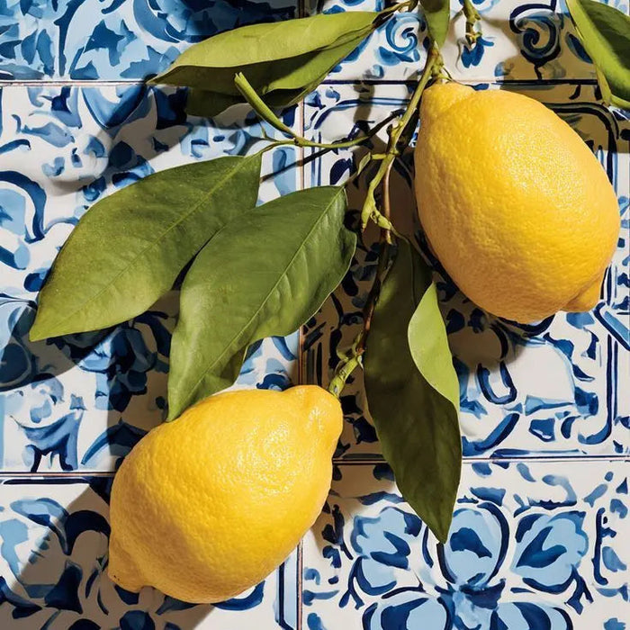 Amalfi Replenish Ritual